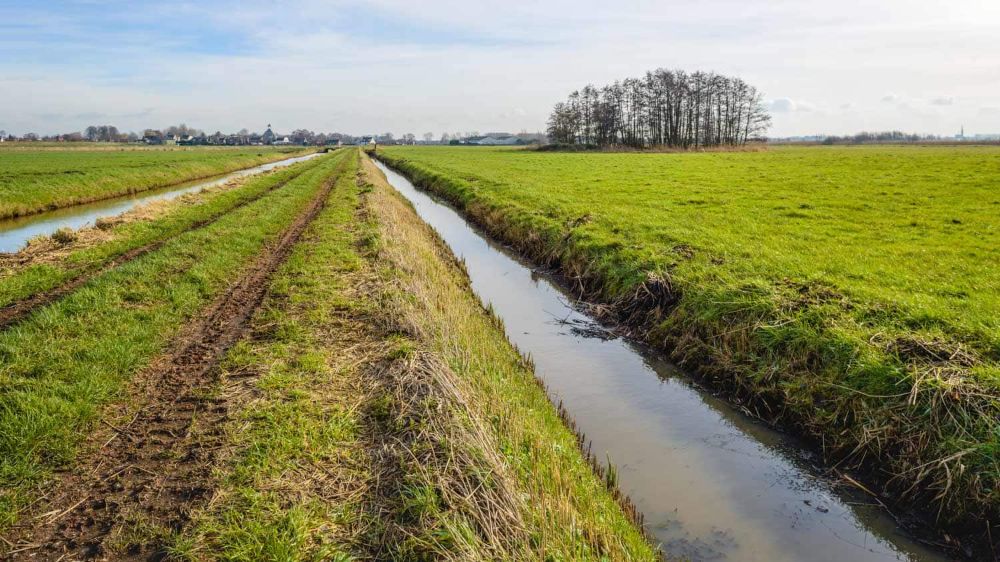 Dikning, Dikesrensning & Markavvattning